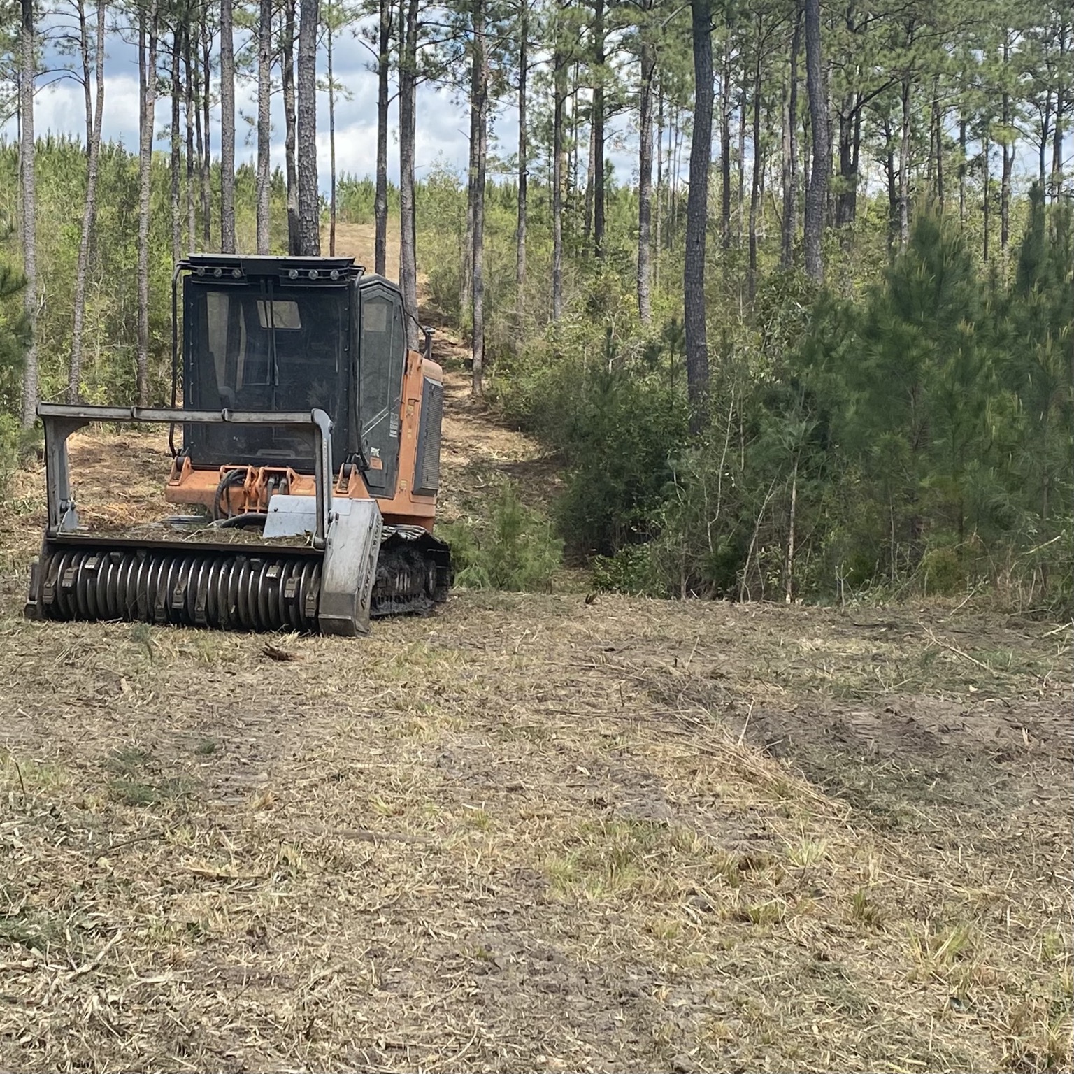 Forestry mulcher opening a corridor through timber
